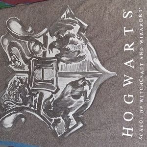 Lootcrate Exclusive Harry Potter Hogwarts House Small TShirt